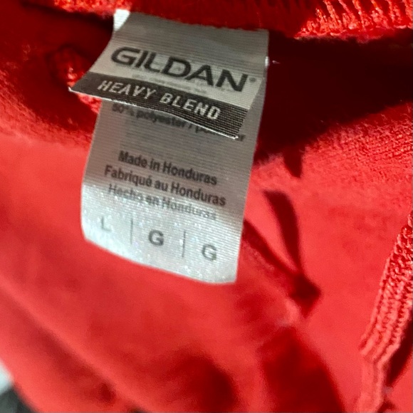 'Family Friendly Wisconsin' 2020 Endorsed Campaign Sweatshirt - Picture 4 of 4